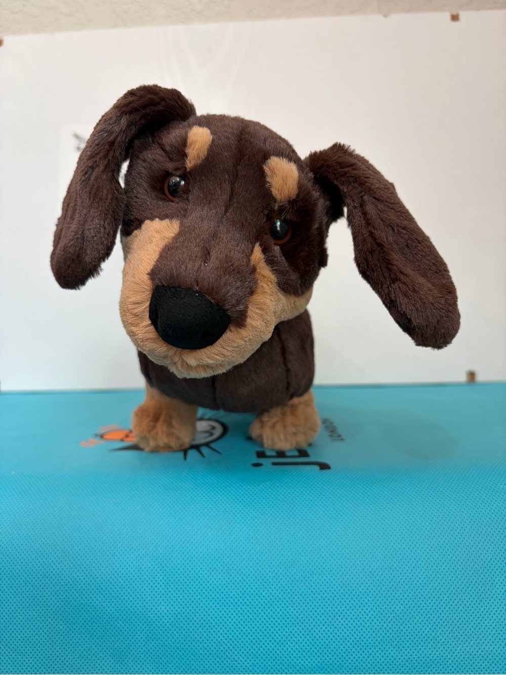 #54 AUTHENTIC Jellycat Otto Sausage Dog Medium- NWT-Dust Bag
